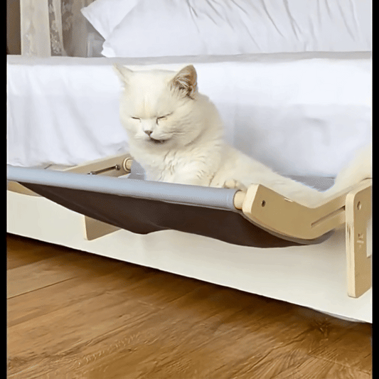 SweetyKitty™ Cat Hammock Bed