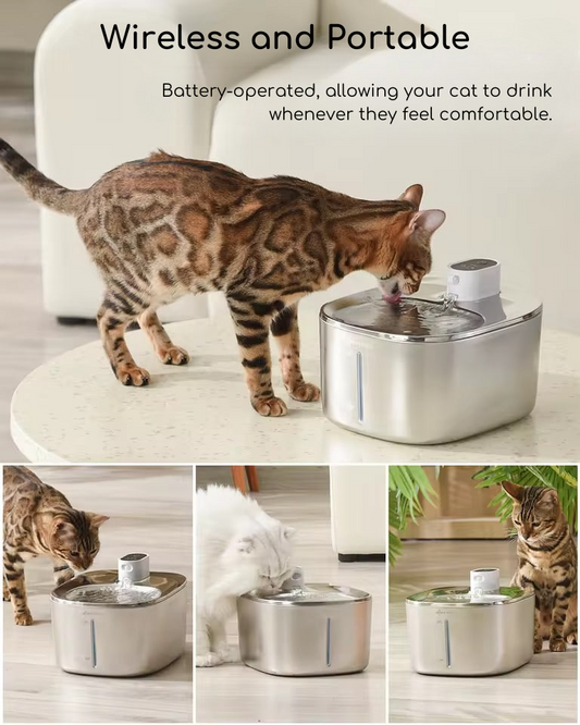 SweetyKitty™ Wireless Water Fountain