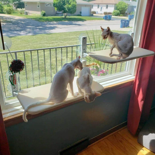SweetyKitty™ Cat Window Hammock