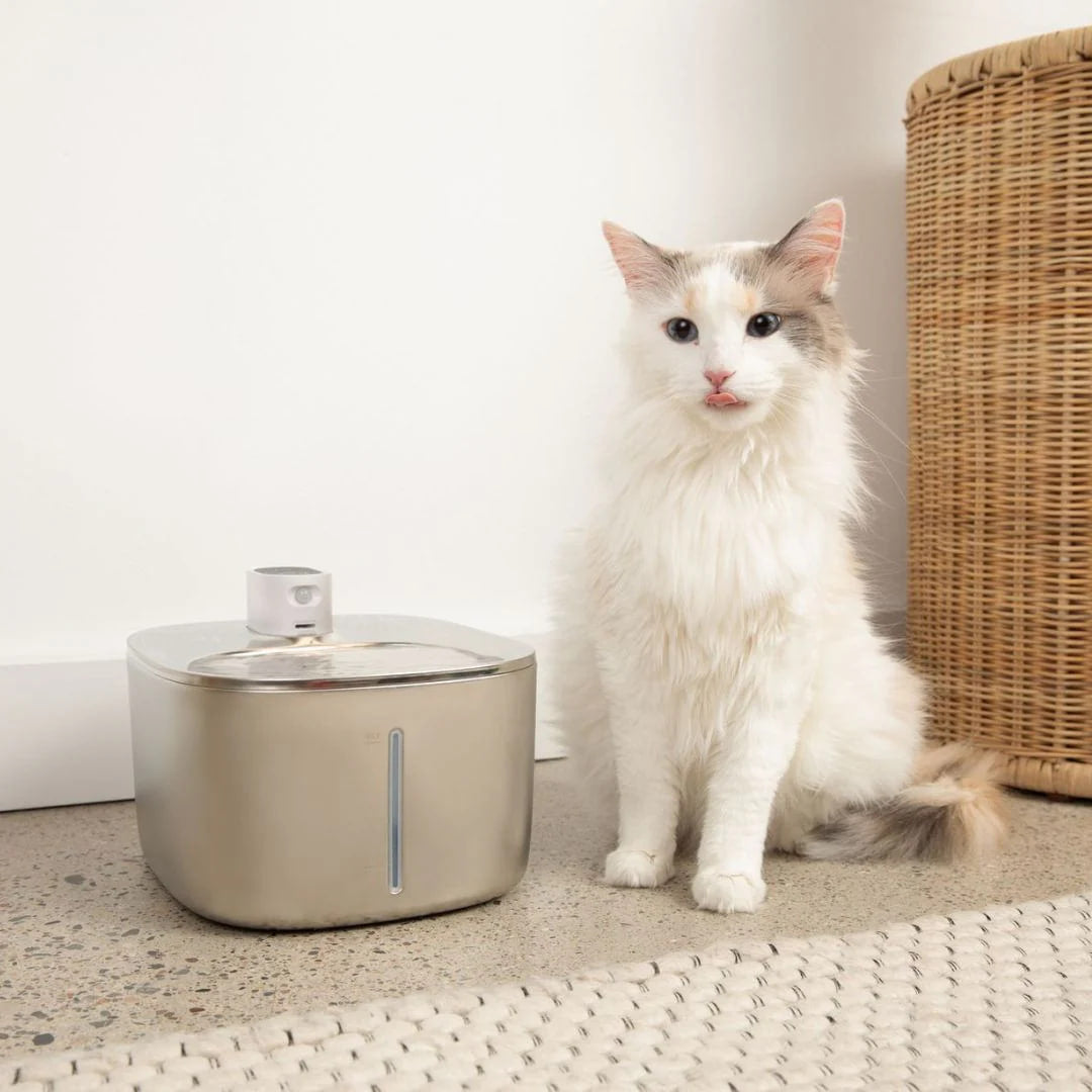SweetyKitty™ Wireless Water Fountain