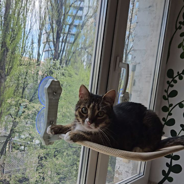 SweetyKitty™ Cat Window Hammock