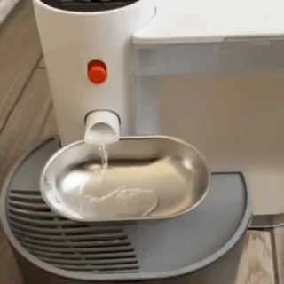 The stainless steel bowl refreshes automatically