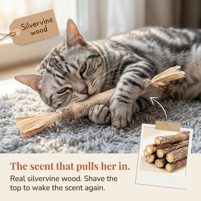 SweetyKitty™ Chew Brush