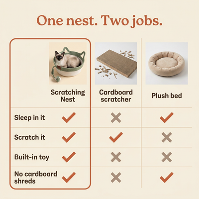 The Scratching Nest