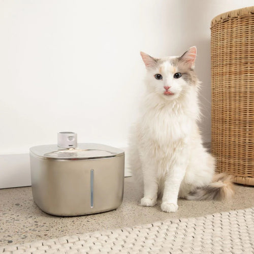 SweetyKitty™ Wireless Water Fountain