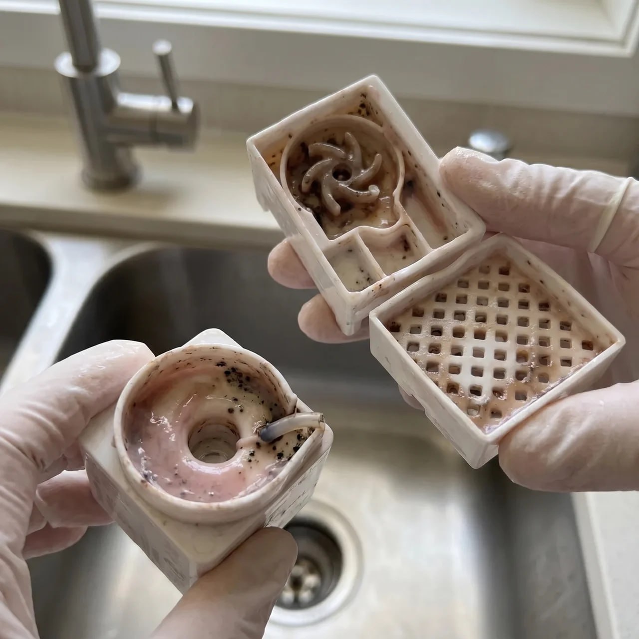 A fountain pump pulled apart over a sink, the inside of the pump housing and impeller coated in pink-grey slime with black specks in the crevices.