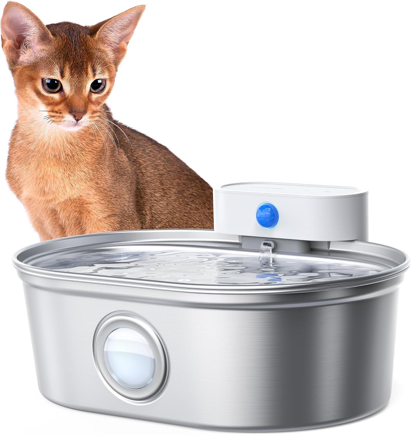 Uahpet Wireless Stainless Steel Pro cordless fountain.